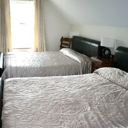 Bed & Breakfast Celtic House Kilkenny